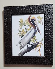 Brown pelican framed for sale  San Diego