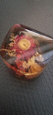 Paperweight acrylic dried for sale  CRANLEIGH