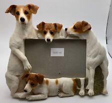 Jack russell terrier for sale  Shipping to Ireland