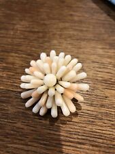 anemone coral for sale  MAIDENHEAD