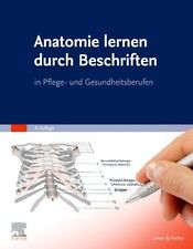 Anatomie lernen durch gebraucht kaufen  Köln