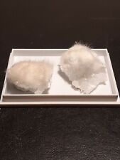 Okenite from Poona, India; size: 2.5*x1cm each for sale  Shipping to South Africa