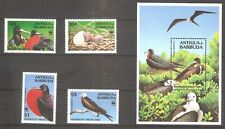 Aves WWF 1994 Antigua Barbuda 2096/2099 + Bloque 308 MNH. segunda mano  Embacar hacia Argentina