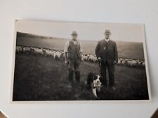Vintage postcard shepherd for sale  Shipping to Ireland