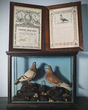 Antique pair racing for sale  STOKE-ON-TRENT