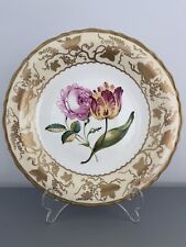Pink rose tulip for sale  WARE