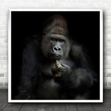 Gorilla silverback dark for sale  UK