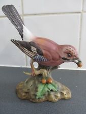 Maruri jay bird for sale  Shipping to Ireland