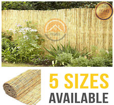Natural reed fence for sale  GLASGOW