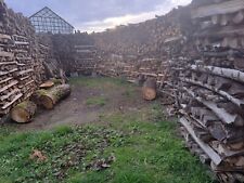 Brennholz fichte birke gebraucht kaufen  Langenwetzendorf