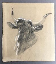 soberbo touro longo com chifres vintage grande desenho c 1835 dessin taureau, usado comprar usado  Enviando para Brazil