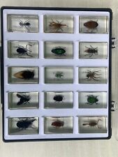Coffret insectes inclusion d'occasion  Firminy