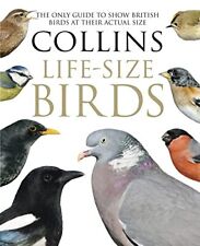 Collins life size for sale  UK