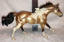 quarter paint horse for sale  Marysville