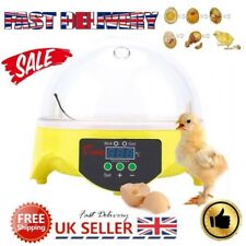 Automatic digital egg for sale  UK