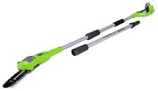 Greenworks cordless polesaw for sale  SWINDON