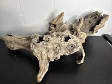 Large natural driftwood for sale  West Roxbury