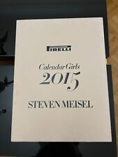 calendario pirelli 2015 usato  Milano