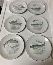 gold czech white china for sale  Hyannis