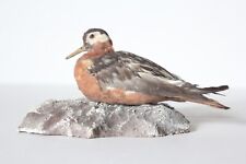 Taxidermy-hunting-chasse-präparat- Red Phalarope with permit for sale  Shipping to South Africa