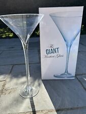 Giant martini glasses for sale  NOTTINGHAM