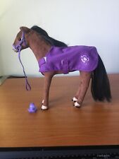 Life horse pony for sale  Atlanta