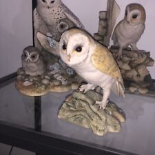 Teviotdale barn owl for sale  TELFORD