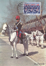 Carabinieri ufficiale cavallo usato  Roma