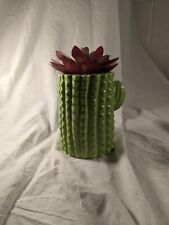 Faux succulent cactus for sale  Caldwell