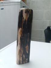 Polished petrified wood for sale  NOTTINGHAM