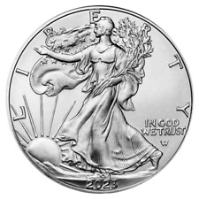 Moneda de 1 dólar American Eagle de plata 2023 de 1 oz BU*En stock segunda mano  Embacar hacia Argentina