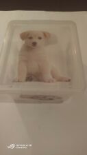 Labrador scatola plastica usato  Casalecchio Di Reno
