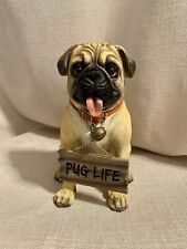 Large adorable pug for sale  Valrico
