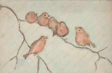 Pettirossi uccelli cartolina usato  Cremona