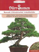Dürr bonsai chinesischer gebraucht kaufen  Elchesheim-Illingen