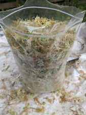 Sphagnum moss for sale  KINGTON