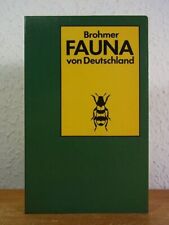 Fauna deutschland bestimmungsb gebraucht kaufen  Elmshorn