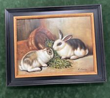 12x16 bunny rabbit for sale  Cordele