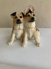 German shepherd dogs for sale  SHANKLIN