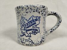 Vintage western stoneware for sale  Wauconda