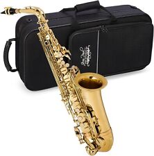 Usado, Saxofón alto para estudiante Jean Paul AS-400RN RENOVADO DE FÁBRICA con estuche de transporte segunda mano  Embacar hacia Argentina