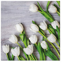 Ply white tulips for sale  Shipping to Ireland