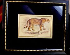 Arte de Jaguar Felis Onca masculina e feminina 2 pinturas 8X10 por William Home Lizars, usado comprar usado  Enviando para Brazil
