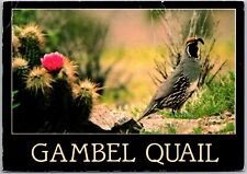 Postcard gambel quail for sale  Danbury