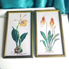 Used, Vintage Orchids Painted On Silk Two Framed Masdevallia & Psychopsis papilio for sale  Shipping to South Africa