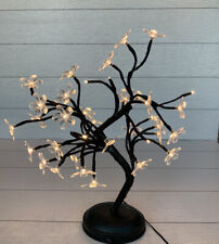 Cherry blossom bonsai for sale  Oklahoma City