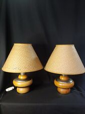 Coppia lampade vintage usato  Roma