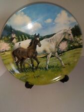 Horses collectable plate for sale  CAERSWS