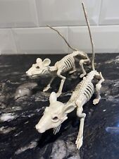 Two skeleton rats for sale  GRIMSBY