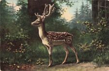 Postcard fallow deer for sale  Shipping to Ireland